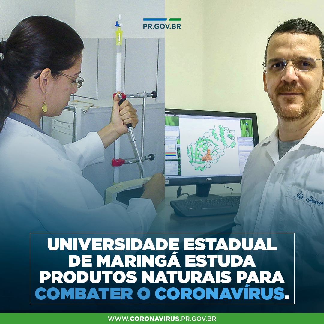 Universidade Estadual de Maringá estuda produtos naturais para combater coronavírus